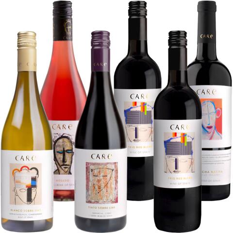 CARE Probierpaket MIX 6er