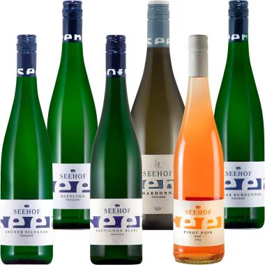 Seehof Fauth Rebsorten Probierpaket 6er 2024/2025