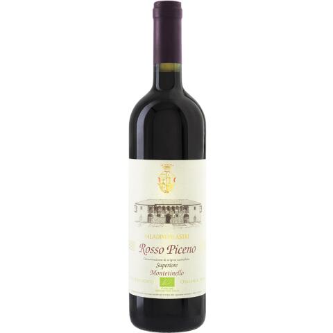 Saladini Pilastri Rosso Piceno Montetinello 2022